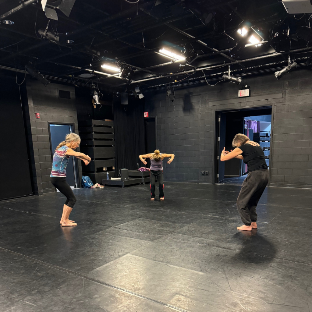 3 adults rehearsing movements for show